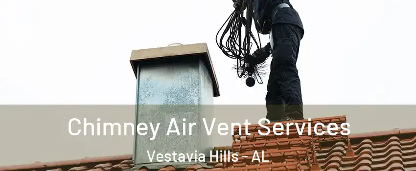 Chimney Air Vent Services Vestavia Hills - AL