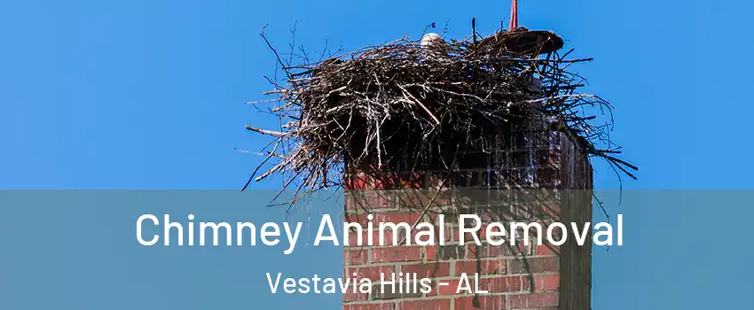 Chimney Animal Removal Vestavia Hills - AL