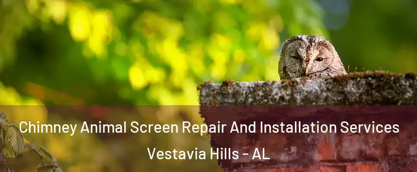 Chimney Animal Screen Repair And Installation Services Vestavia Hills - AL