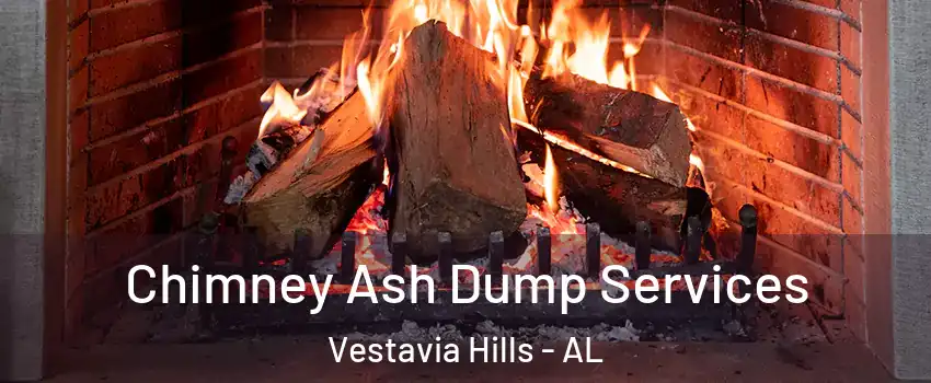  Chimney Ash Dump Services Vestavia Hills - AL