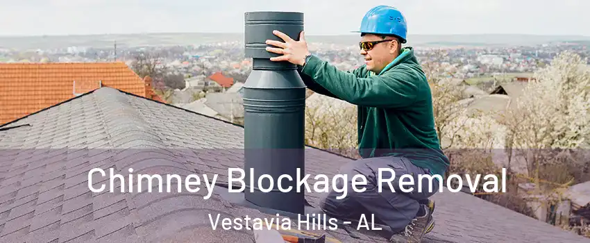 Chimney Blockage Removal Vestavia Hills - AL