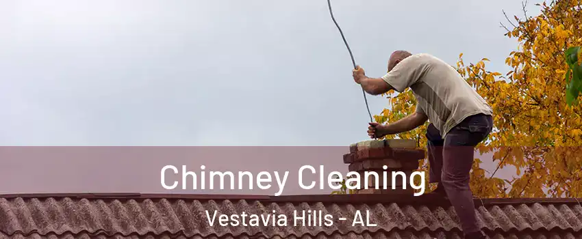  Chimney Cleaning Vestavia Hills - AL