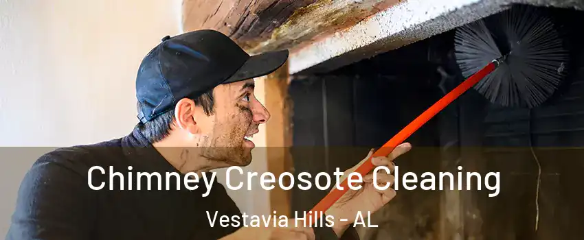  Chimney Creosote Cleaning Vestavia Hills - AL