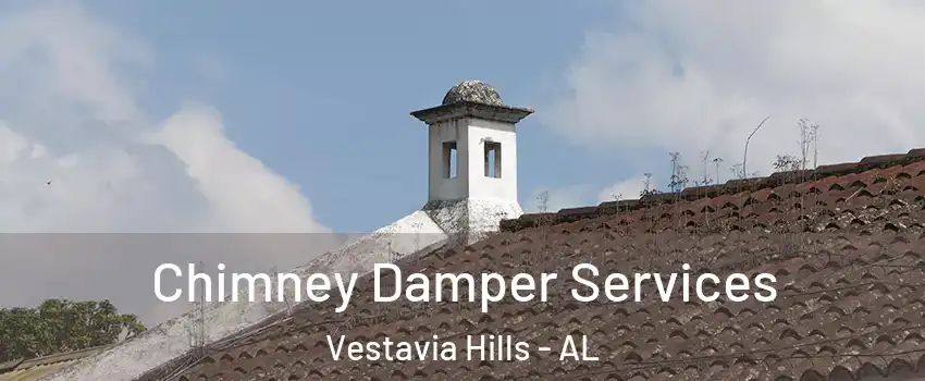 Chimney Damper Services Vestavia Hills - AL