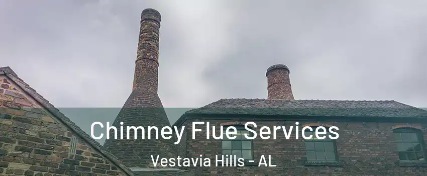 Chimney Flue Services Vestavia Hills - AL