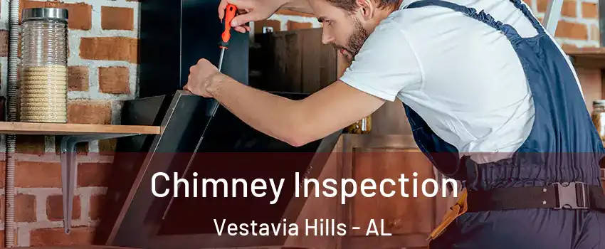  Chimney Inspection Vestavia Hills - AL