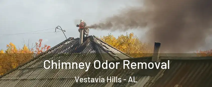 Chimney Odor Removal Vestavia Hills - AL