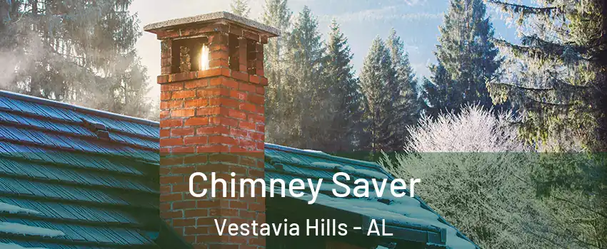 Chimney Saver Vestavia Hills - AL