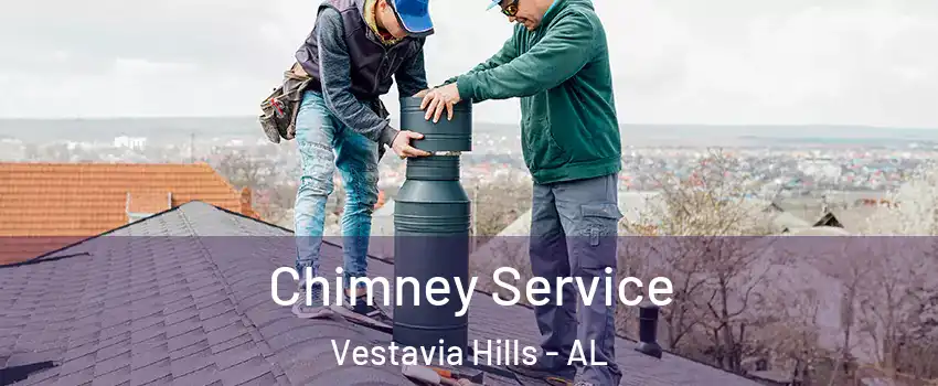  Chimney Service Vestavia Hills - AL