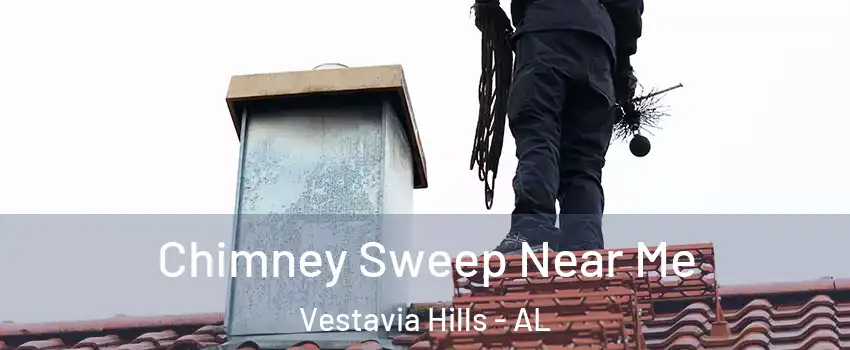  Chimney Sweep Near Me Vestavia Hills - AL
