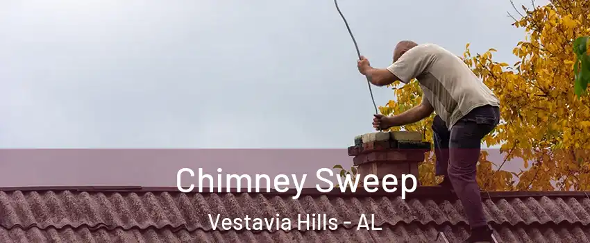 Chimney Sweep Vestavia Hills - AL