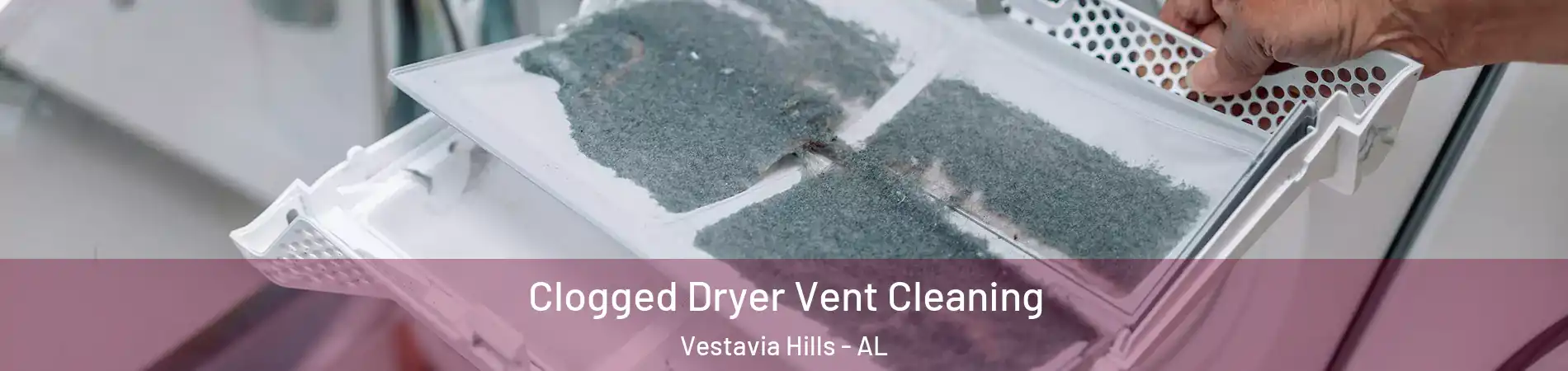  Clogged Dryer Vent Cleaning Vestavia Hills - AL