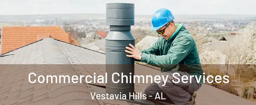 Commercial Chimney Services Vestavia Hills - AL