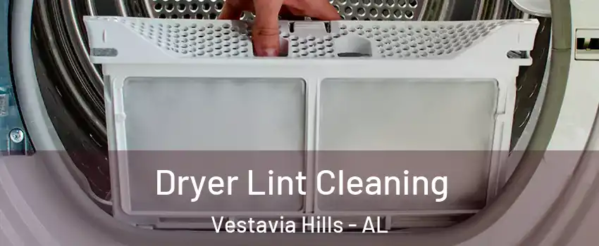  Dryer Lint Cleaning Vestavia Hills - AL