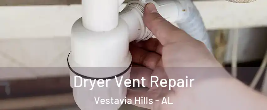  Dryer Vent Repair Vestavia Hills - AL