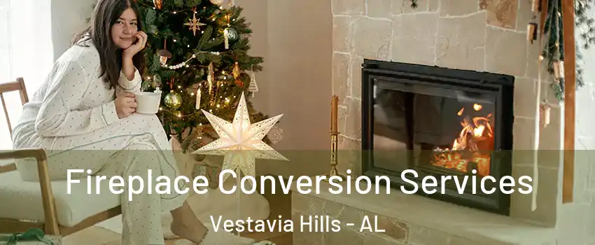  Fireplace Conversion Services Vestavia Hills - AL