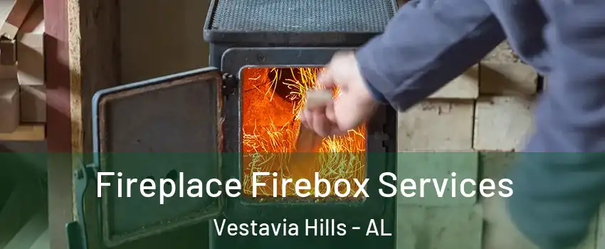  Fireplace Firebox Services Vestavia Hills - AL