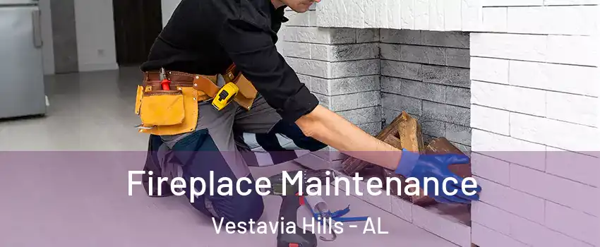 Fireplace Maintenance Vestavia Hills - AL