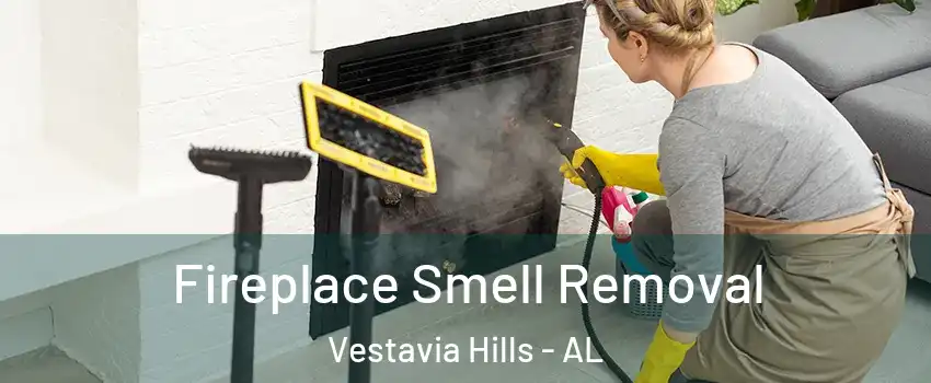 Fireplace Smell Removal Vestavia Hills - AL