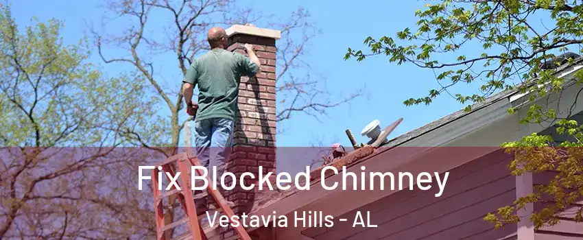 Fix Blocked Chimney Vestavia Hills - AL