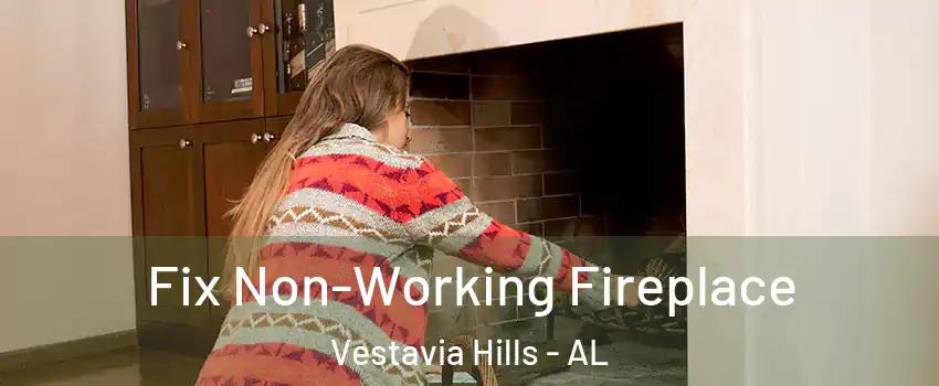  Fix Non-Working Fireplace Vestavia Hills - AL