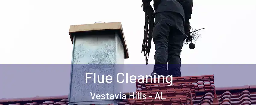Flue Cleaning Vestavia Hills - AL
