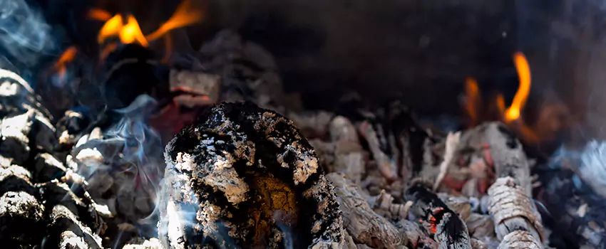 Creosote Removal Experts in Vestavia Hills, AL