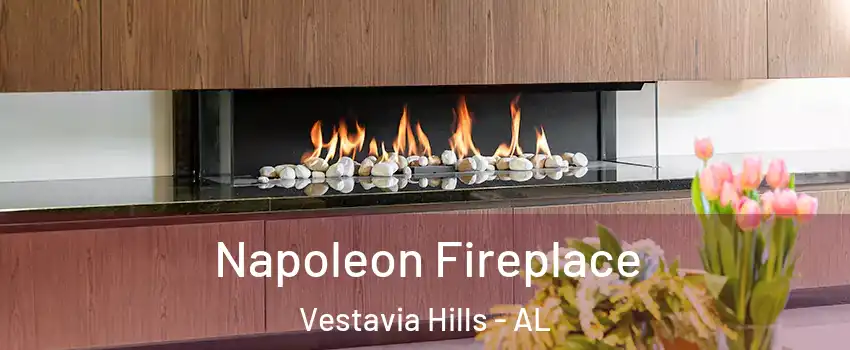  Napoleon Fireplace Vestavia Hills - AL