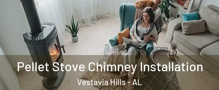 Pellet Stove Chimney Installation Vestavia Hills - AL